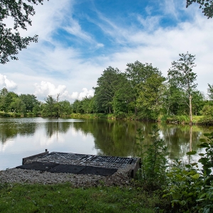 Redwell   17 06 2020   D500   Les 413.jpg